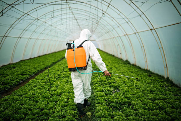 Best Residential Pest Control  in Durand, WI