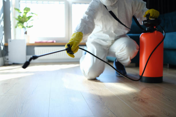 Professional Pest Control in Durand, WI