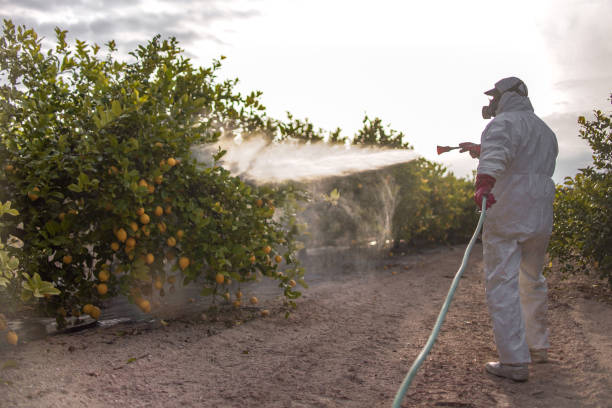 Best Exterminator Services  in Durand, WI