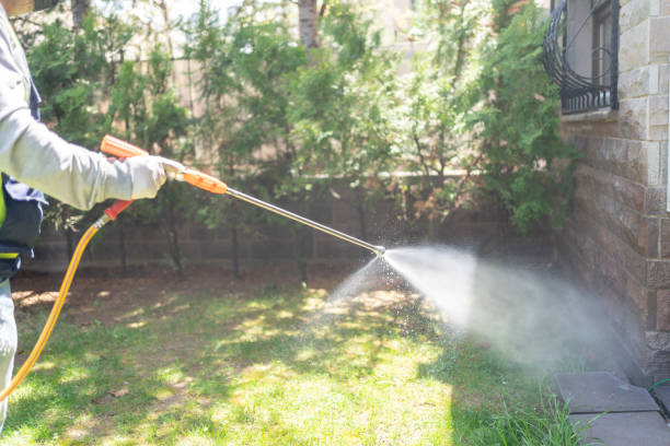 Best Local Pest Control Services  in Durand, WI