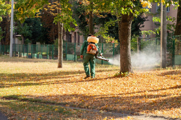 Best Affordable Pest Control Services  in Durand, WI