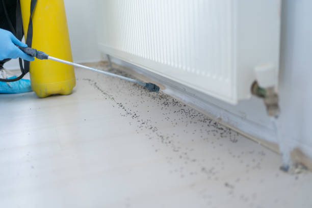Best Pest Prevention Services  in Durand, WI