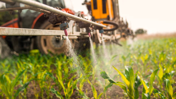 Best Commercial Pest Control Services  in Durand, WI